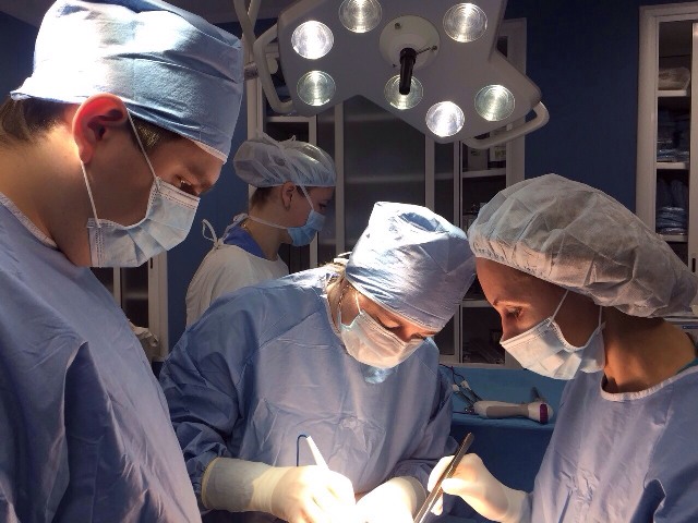 1 transplantatsiya.jpg 1 transplantatsiya.jpg